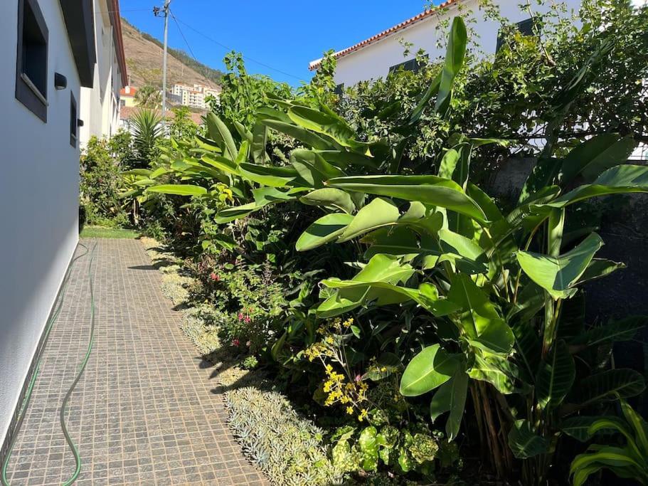 Moradia Com Piscina No Canico Esterno foto